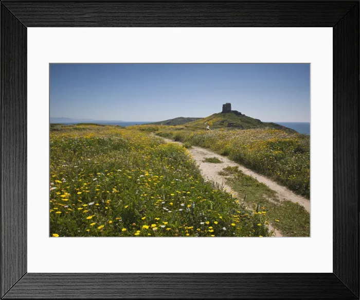Framed Print : DDE-90032811 Framed Print : DDE-90032811