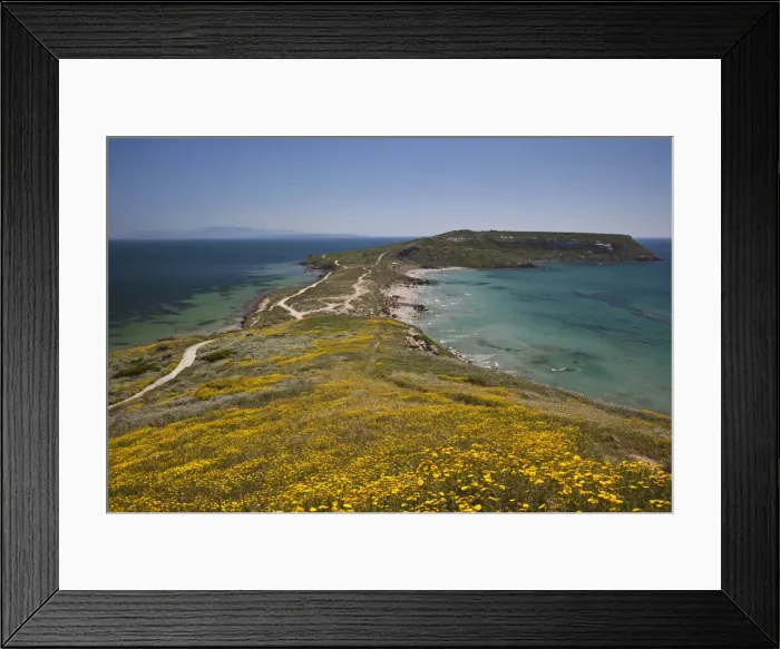 Framed Print : DDE-90032813