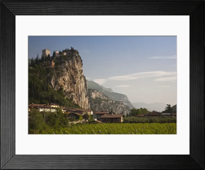 Framed Print : DDE-90032816 Framed Print : DDE-90032816
