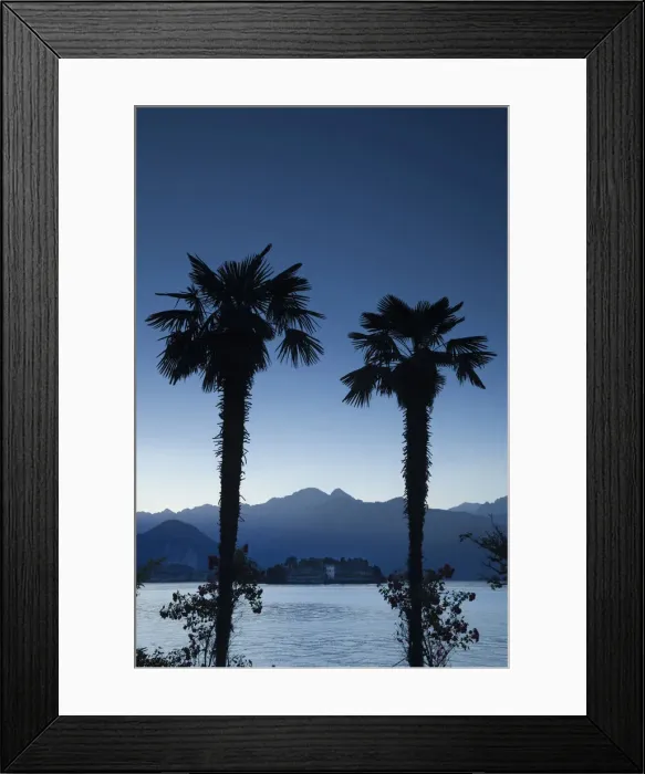 Framed Print : DDE-90032822 Framed Print : DDE-90032822