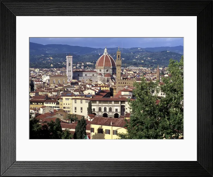 Framed Print : DDE-90032841 Framed Print : DDE-90032841