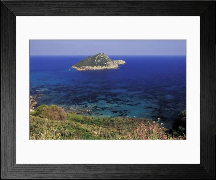 Framed Print : DDE-90032844