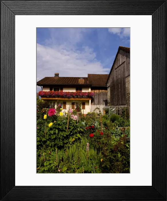 Framed Print : DDE-90032850 Framed Print : DDE-90032850