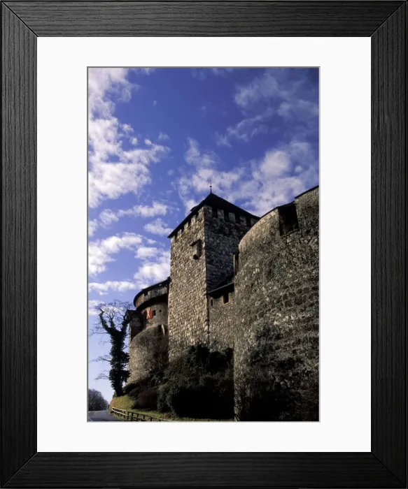 Framed Print : DDE-90032852 Framed Print : DDE-90032852