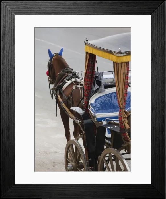 Framed Print : DDE-90032857