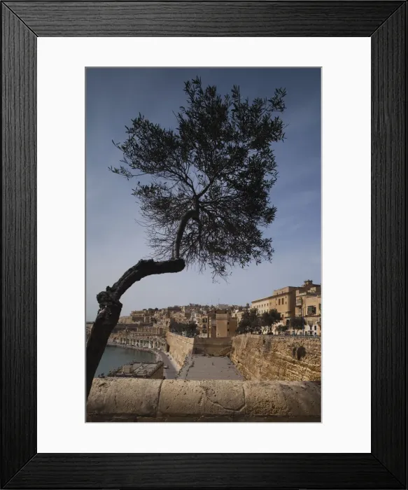 Framed Print : DDE-90032868 Framed Print : DDE-90032868