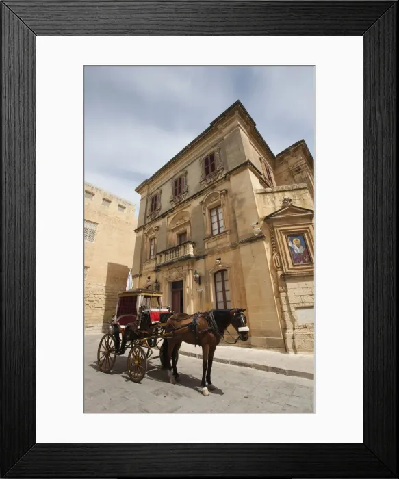 Framed Print : DDE-90032889 Framed Print : DDE-90032889
