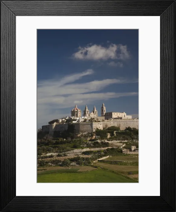 Framed Print : DDE-90032892 Framed Print : DDE-90032892