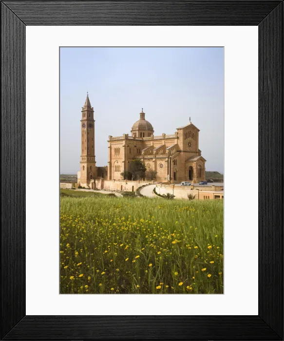 Framed Print : DDE-90032905 Framed Print : DDE-90032905