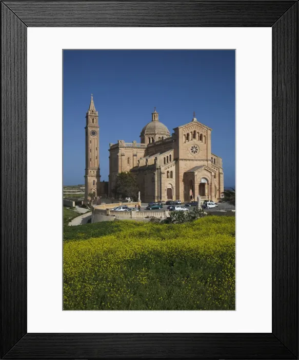 Framed Print : DDE-90032906 Framed Print : DDE-90032906