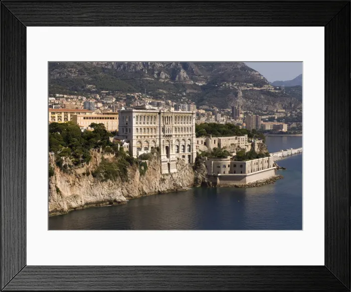 Framed Print : DDE-90032914