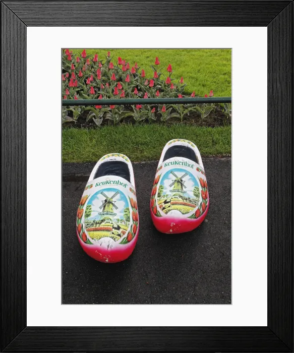 Framed Print : DDE-90032921 Framed Print : DDE-90032921