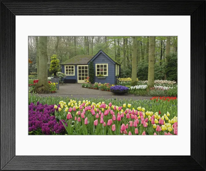 Framed Print : DDE-90032922 Framed Print : DDE-90032922