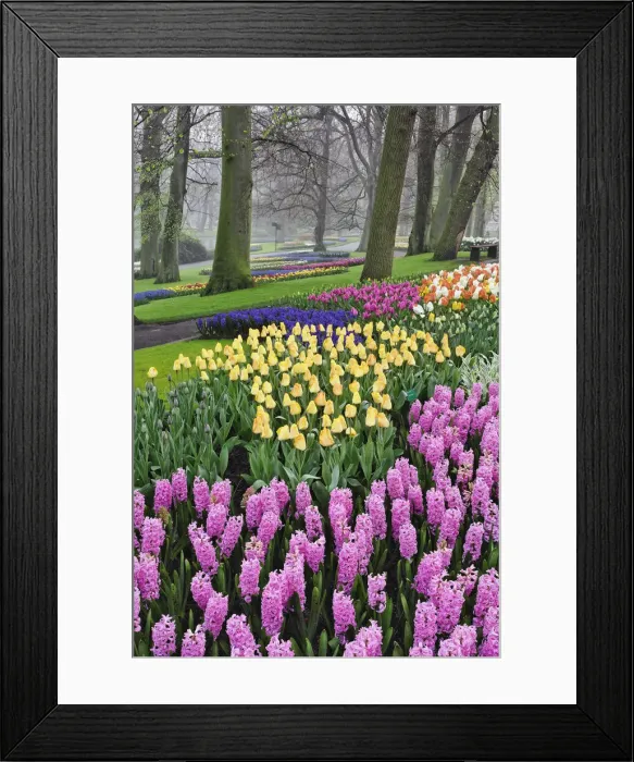 Framed Print : DDE-90032923 Framed Print : DDE-90032923