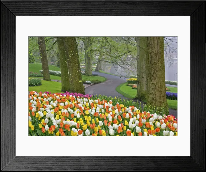 Framed Print : DDE-90032924 Framed Print : DDE-90032924