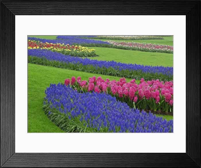Framed Print : DDE-90032925 Framed Print : DDE-90032925