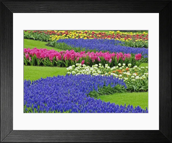 Framed Print : DDE-90032927