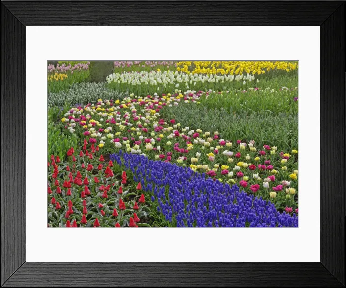 Framed Print : DDE-90032930 Framed Print : DDE-90032930