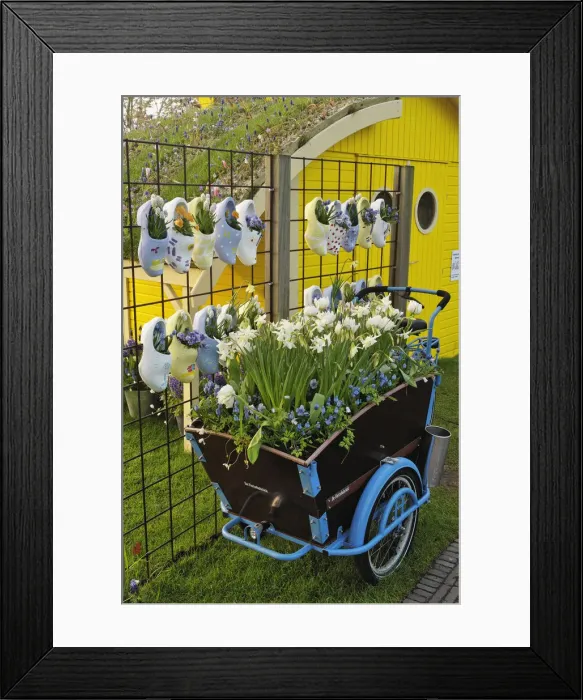 Framed Print : DDE-90032934 Framed Print : DDE-90032934
