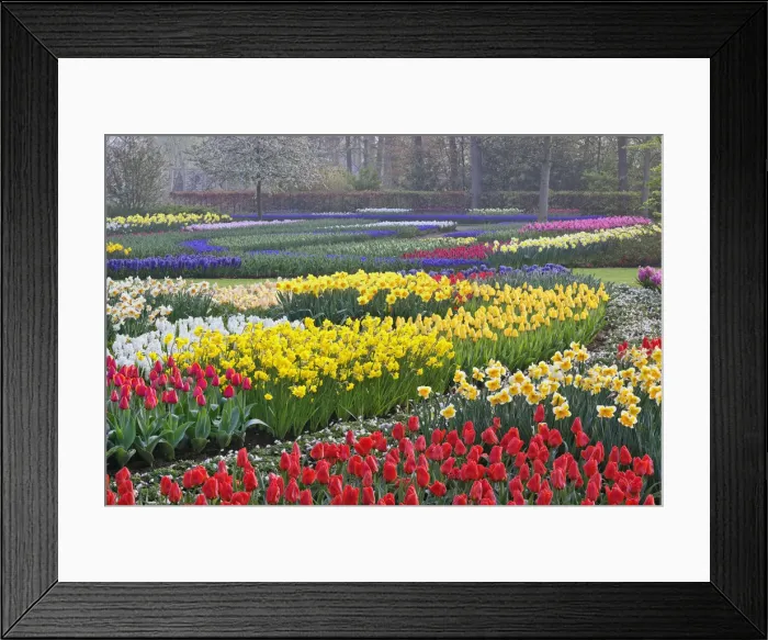 Framed Print : DDE-90032936 Framed Print : DDE-90032936