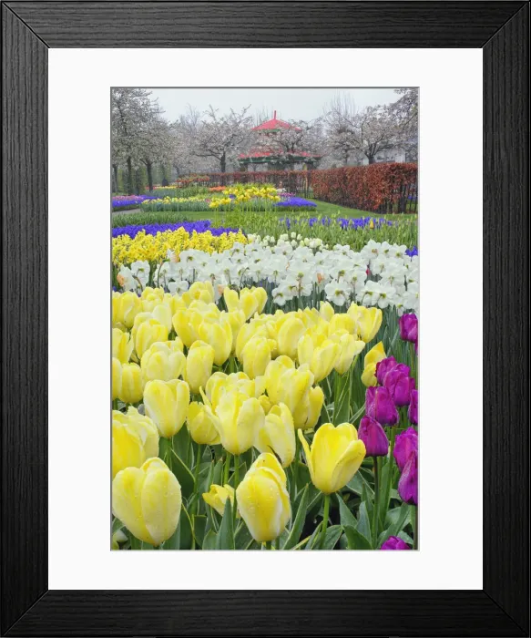 Framed Print : DDE-90032939 Framed Print : DDE-90032939