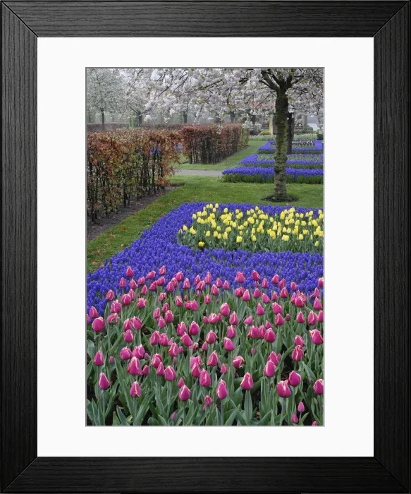 Framed Print : DDE-90032938 Framed Print : DDE-90032938