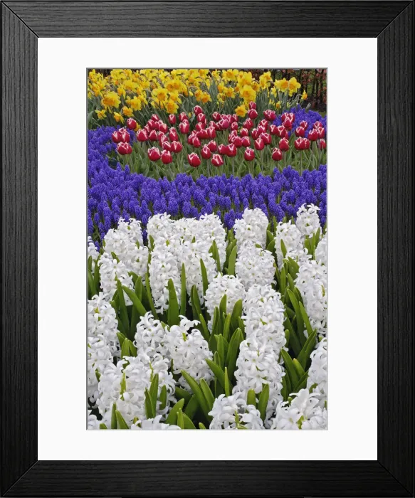 Framed Print : DDE-90032940 Framed Print : DDE-90032940