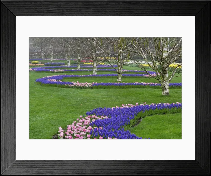 Framed Print : DDE-90032944 Framed Print : DDE-90032944