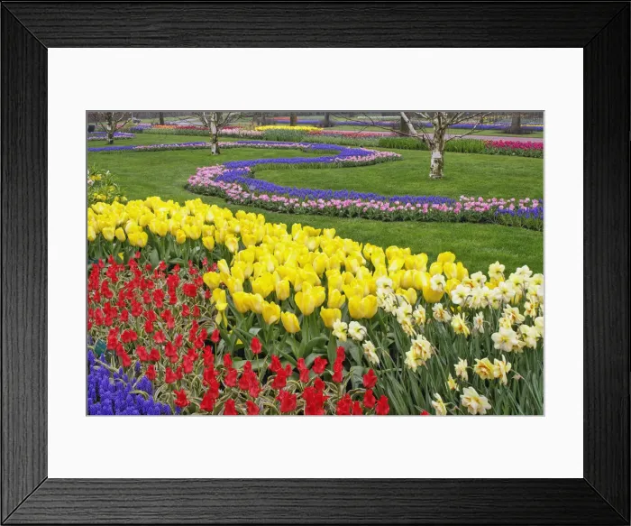 Framed Print : DDE-90032946 Framed Print : DDE-90032946