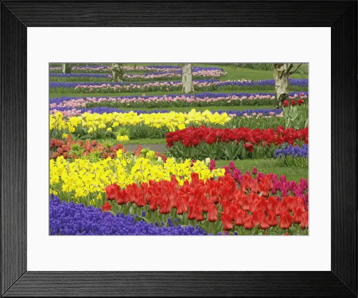 Framed Print : DDE-90032947 Framed Print : DDE-90032947