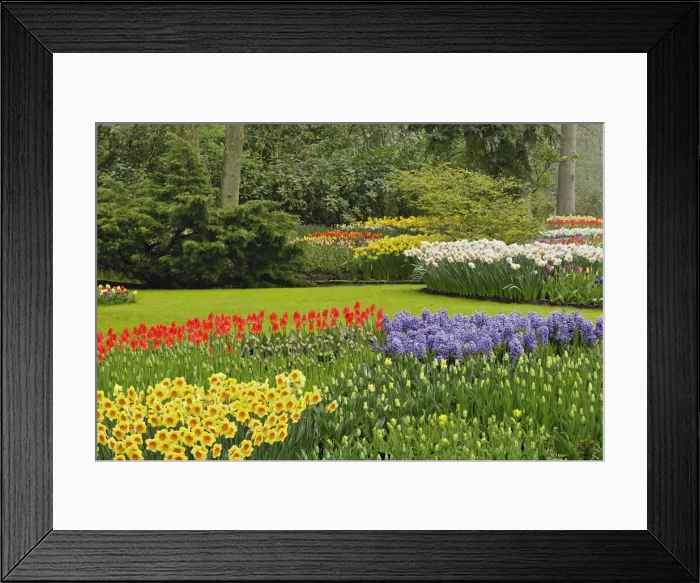 Framed Print : DDE-90032949 Framed Print : DDE-90032949