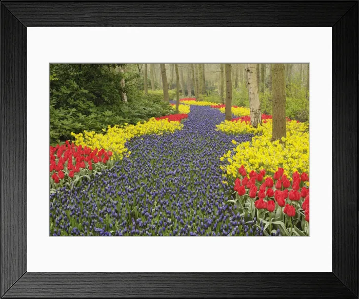 Framed Print : DDE-90032951 Framed Print : DDE-90032951