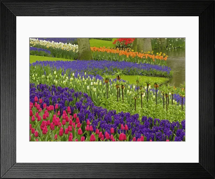 Framed Print : DDE-90032950 Framed Print : DDE-90032950