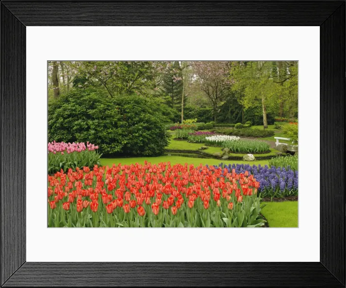 Framed Print : DDE-90032952 Framed Print : DDE-90032952