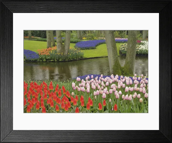 Framed Print : DDE-90032954 Framed Print : DDE-90032954