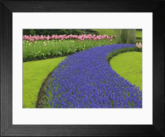 Framed Print : DDE-90032955 Framed Print : DDE-90032955
