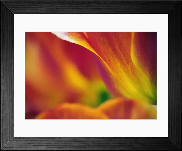 Framed Print : DDE-90032959 Framed Print : DDE-90032959