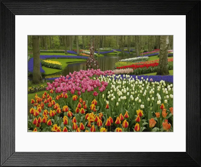 Framed Print : DDE-90032977 Framed Print : DDE-90032977