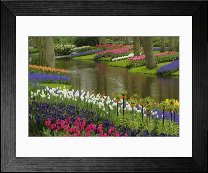 Framed Print : DDE-90032979 Framed Print : DDE-90032979
