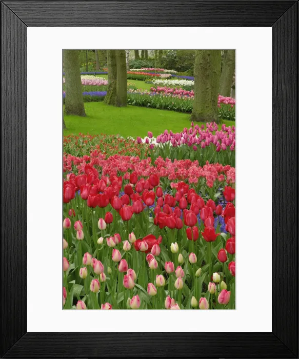 Framed Print : DDE-90032980 Framed Print : DDE-90032980