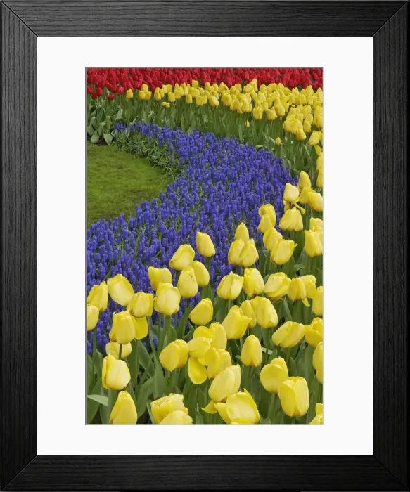 Framed Print : DDE-90032982 Framed Print : DDE-90032982