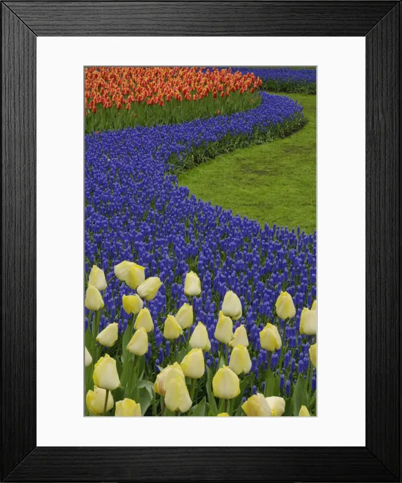 Framed Print : DDE-90032983 Framed Print : DDE-90032983