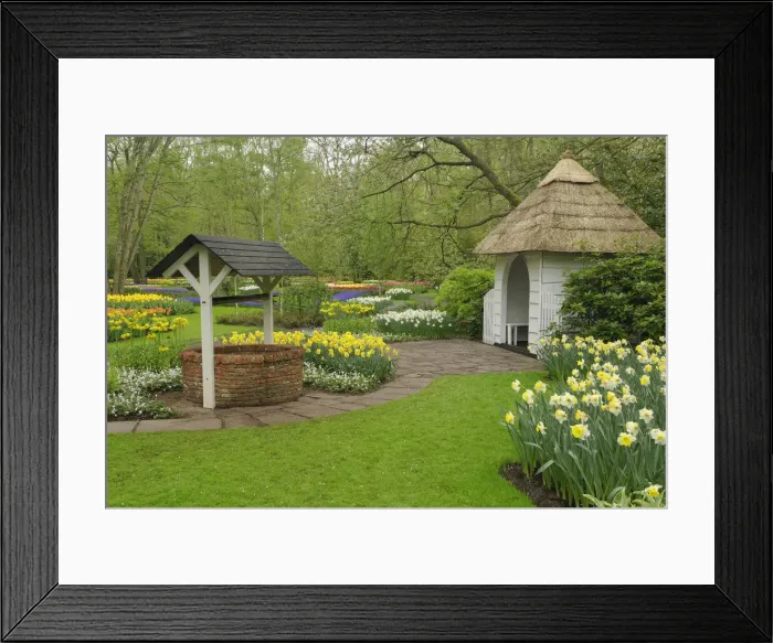 Framed Print : DDE-90032984 Framed Print : DDE-90032984