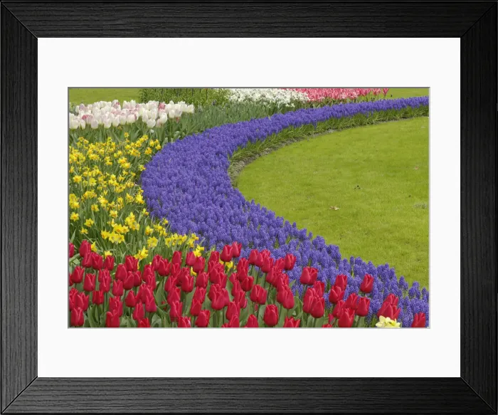 Framed Print : DDE-90032989 Framed Print : DDE-90032989