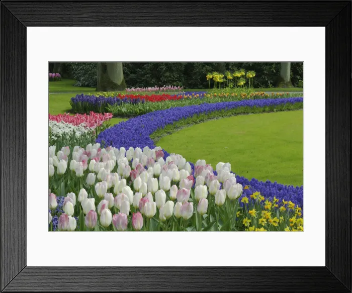 Framed Print : DDE-90032990 Framed Print : DDE-90032990
