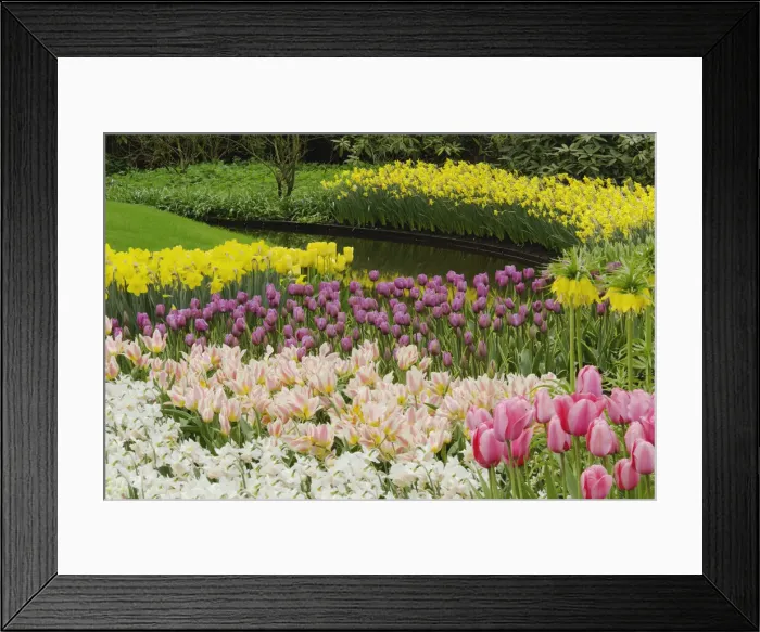 Framed Print : DDE-90032992 Framed Print : DDE-90032992