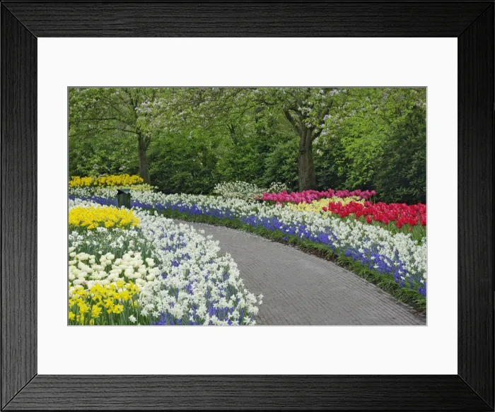 Framed Print : DDE-90032995