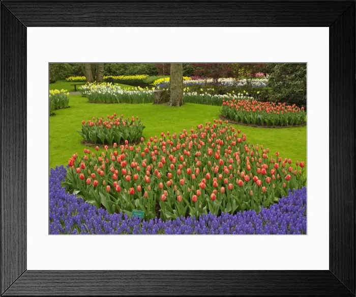 Framed Print : DDE-90032996 Framed Print : DDE-90032996