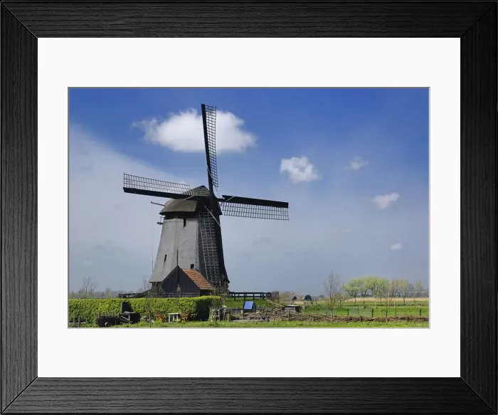 Framed Print : DDE-90033001 Framed Print : DDE-90033001