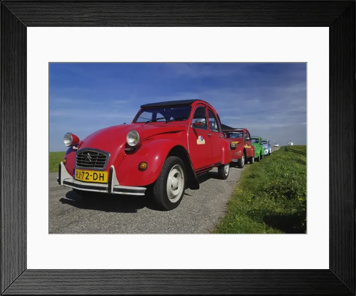 Framed Print : DDE-90033011 Framed Print : DDE-90033011